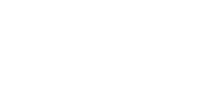 Logo-IZB-B