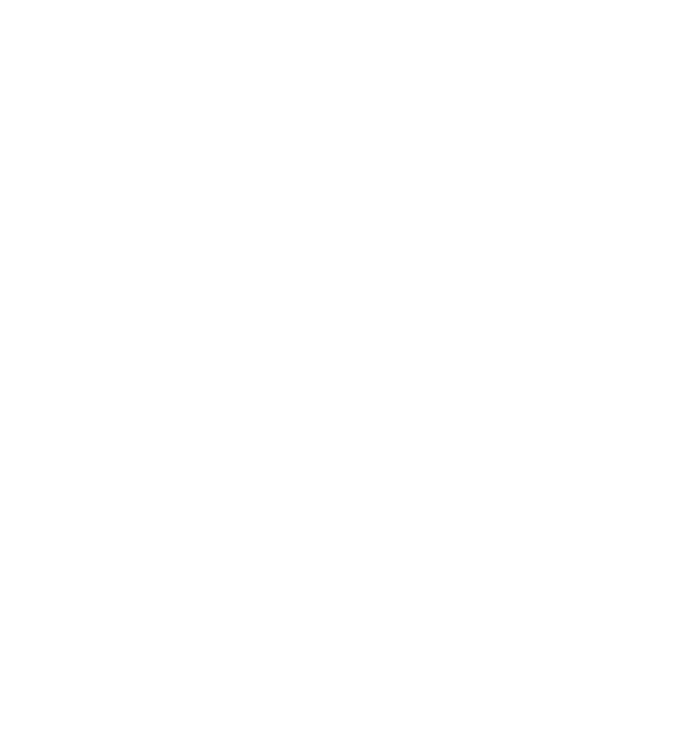 Logo-VOI